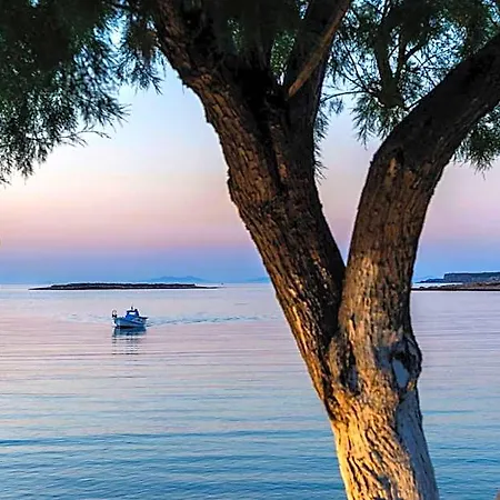 καλυψώ 3* Νάουσα