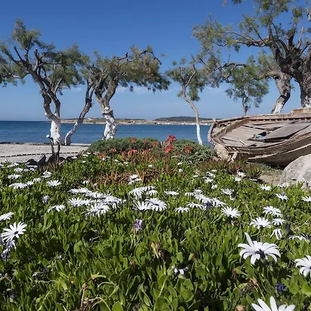 Hotel Kalypso Páros